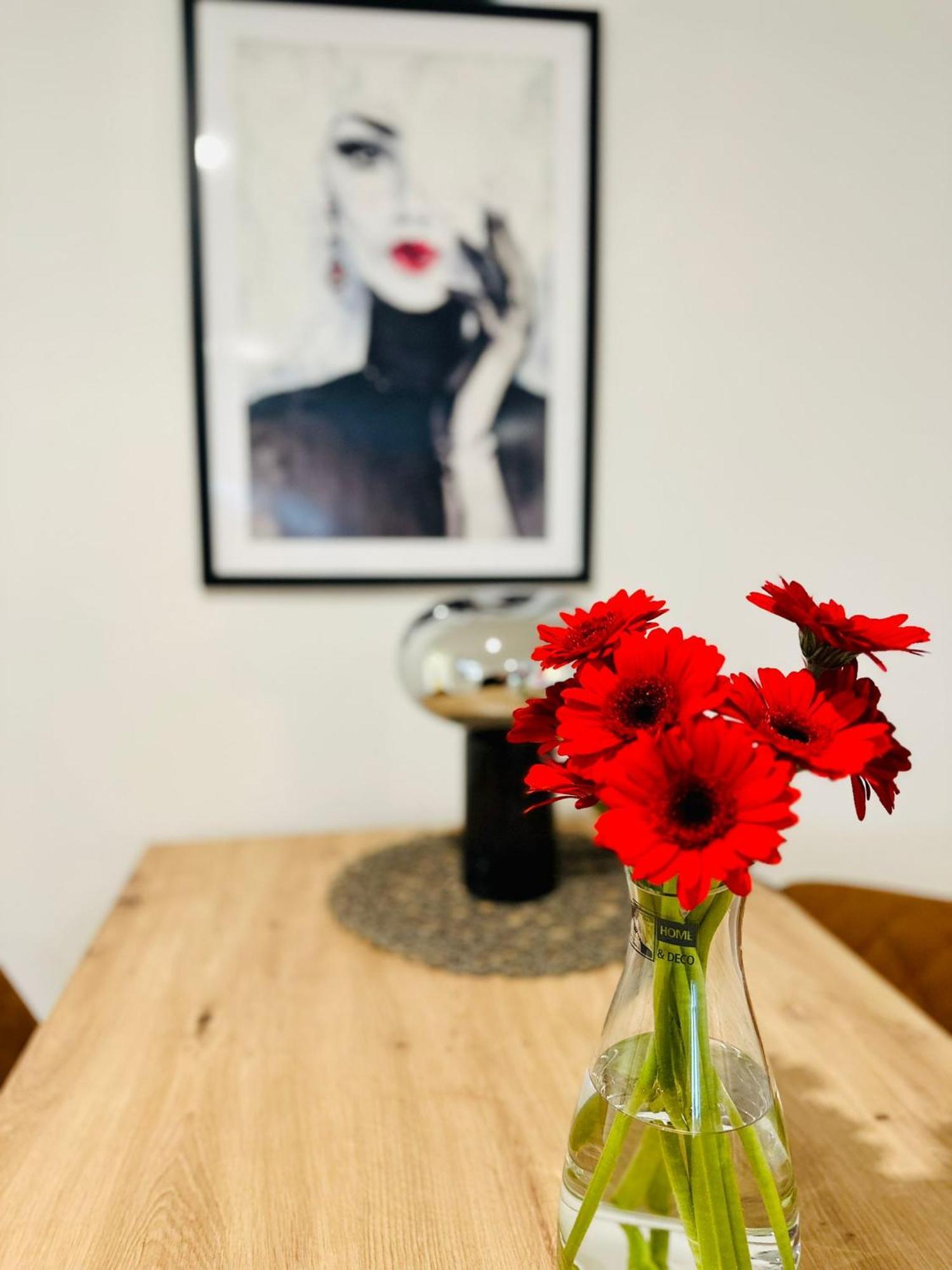 Lous Ferienwohnung Thale Esterno foto